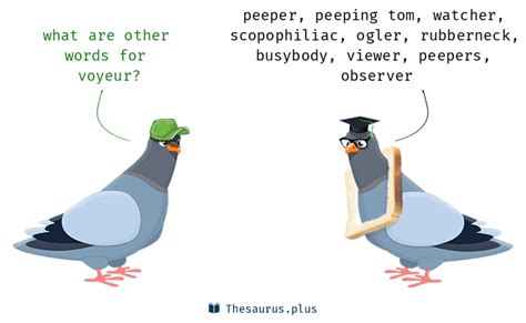 opposite of voyeur|4 Synonyms & Antonyms for VOYEUR .